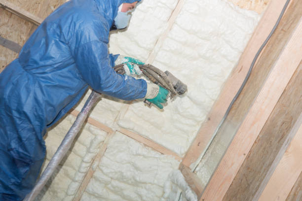 Best Crawl Space Insulation  in Conneaut Lakeshore, PA