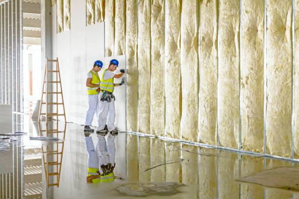 Best Insulation for New Construction  in Conneaut Lakeshore, PA